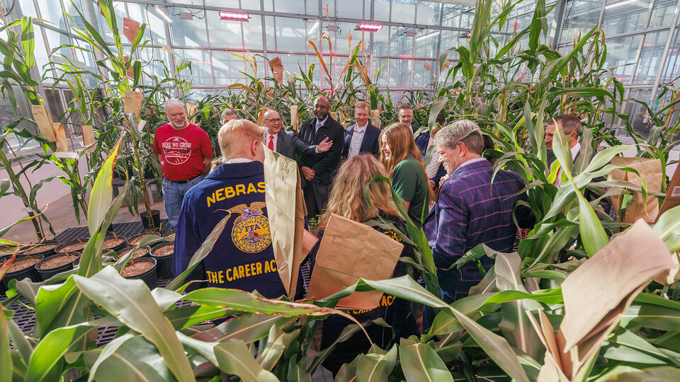 University leaders, state officials and representatives of ag-based groups learn about phenotyping research in the Nebraska Innovation Greenhouse following the Agriculture Week proclamation on March 19. Ag Week in Nebraska is March 17-23. | Craig Chandler | University Communication and Marketing 