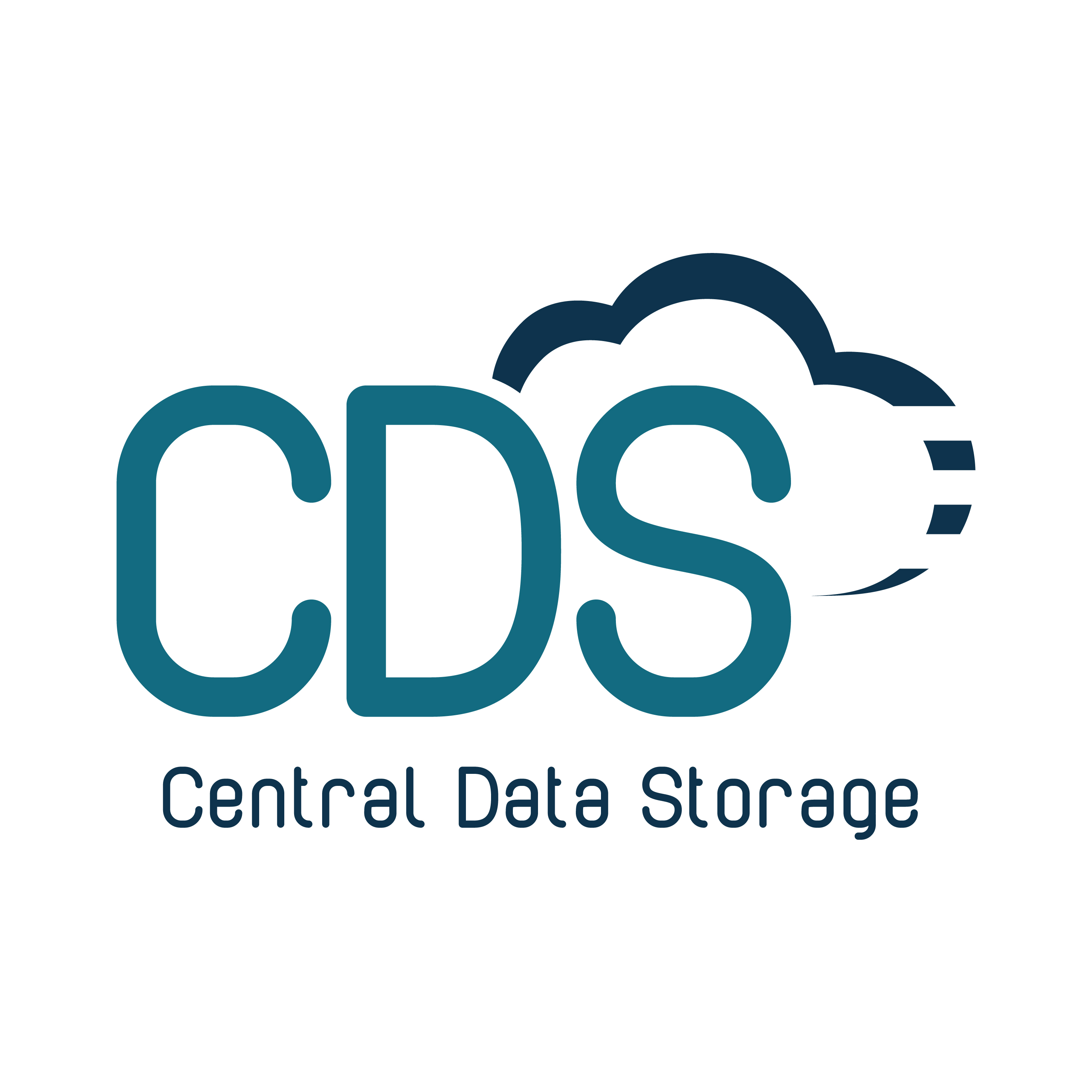 Central Data Storage Logo