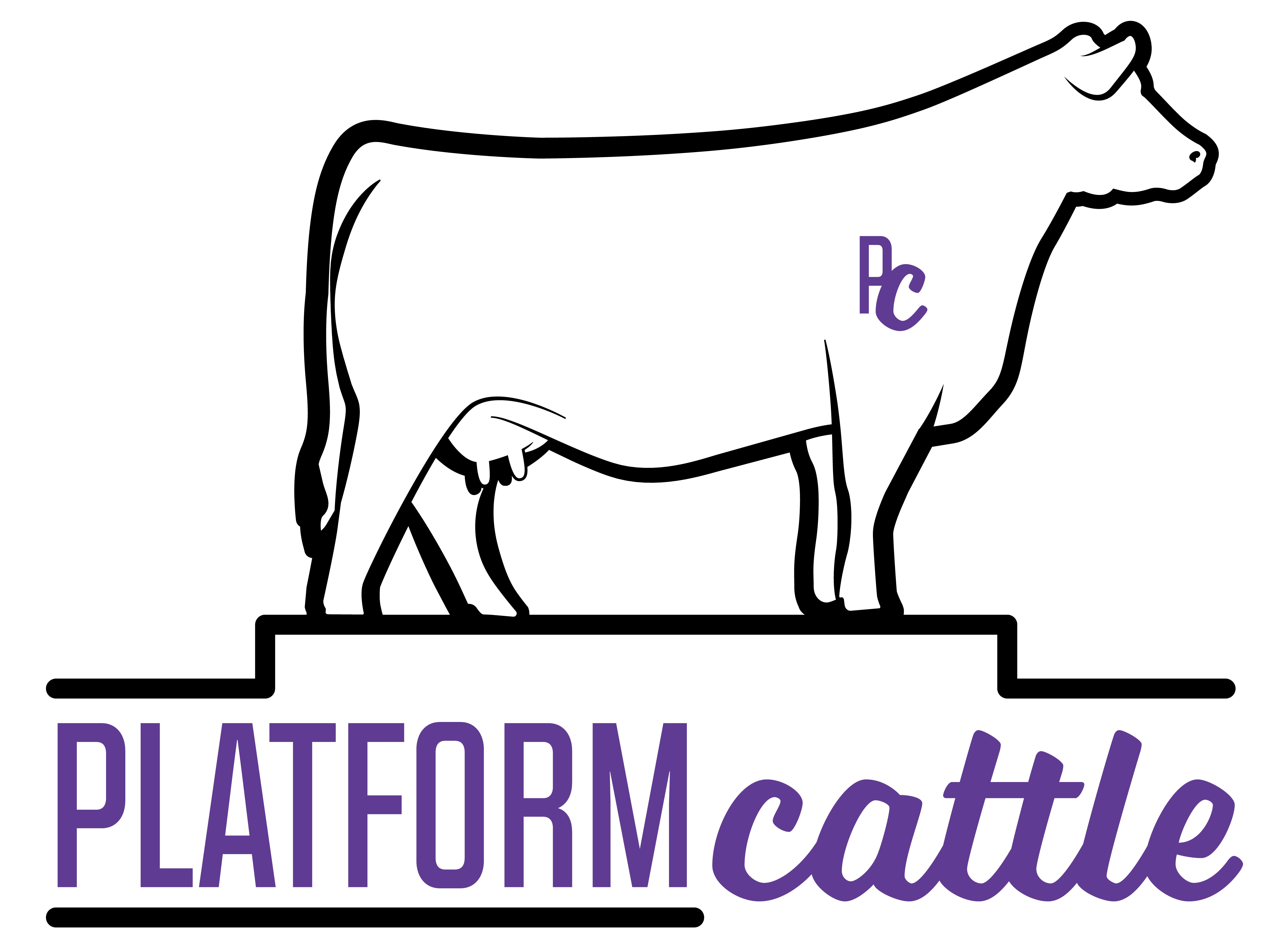 Platform Cattle logo