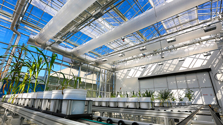  Craig Chandler | University Communications A preview of the Nebraska Innovation Campus greenhouse and unique phenotyping system begins at 2:30 p.m. May 18.