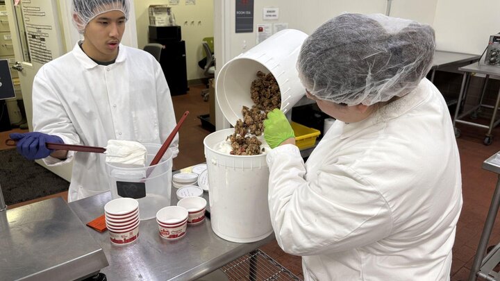   Emma Abernathy, a senior biological systems engineering major from Rusk, Texas, pours cake and fruit pieces into vanilla ice cream as Will Tessalee, a sophomore mechanical engineering major from Bangkok, Thailand, waits to mix the ingredients together. The University of NebraskaâLincoln student workers make ice cream for a client in the Food Processing Centerâs dairy plant. The FPC has 20 employees and around 20 student workers. | Maddie Hansen/Nebraska News Service