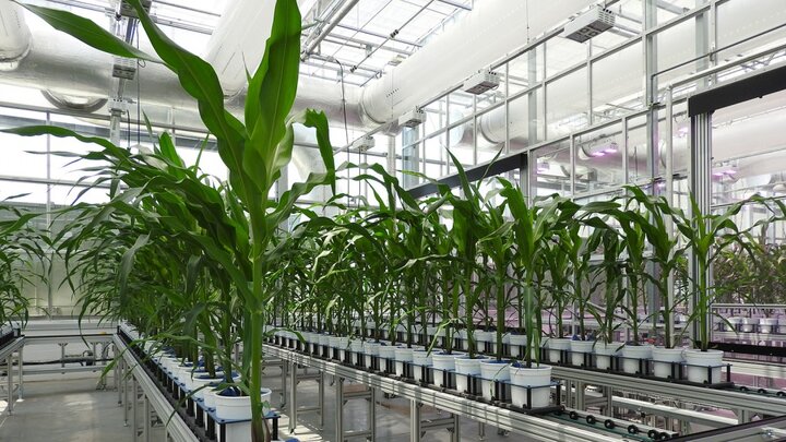 NIC Greenhouse Innovation Center
