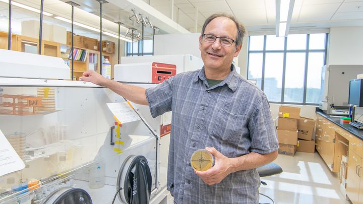 Bob Hutkins, Khem Shahani Professor of Food Science and Technology, is a member of the recently formed university spin-off company Synbiotic Health. 